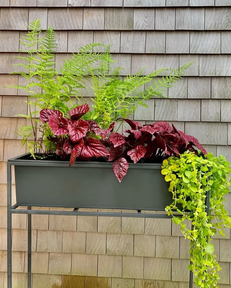 Top-rated lawn care service in Portland, ME - Pollen