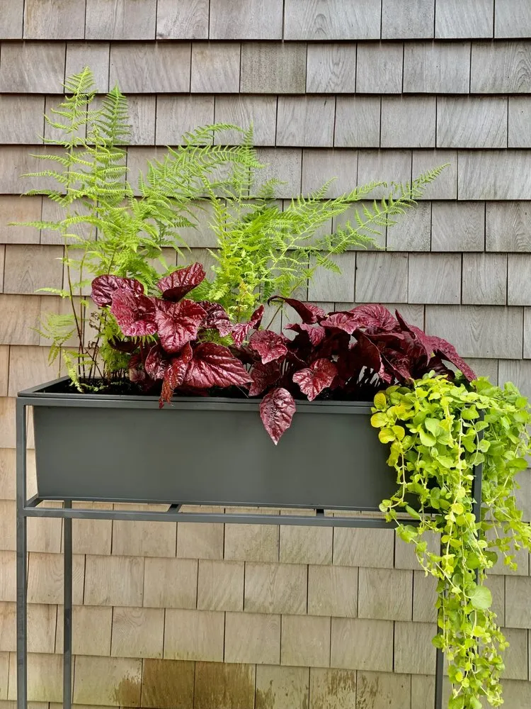 Top-rated landscape installation in Portland, ME by Pollen