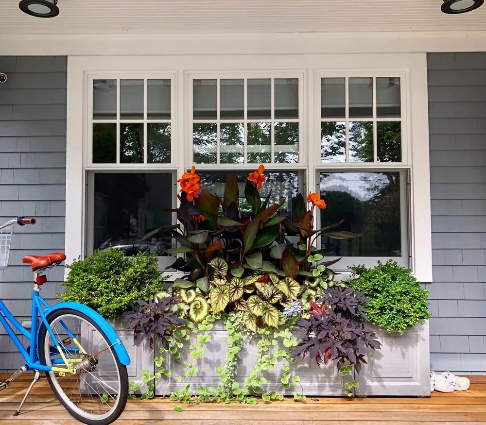 Reliable yard maintenance in Portland, ME by Pollen