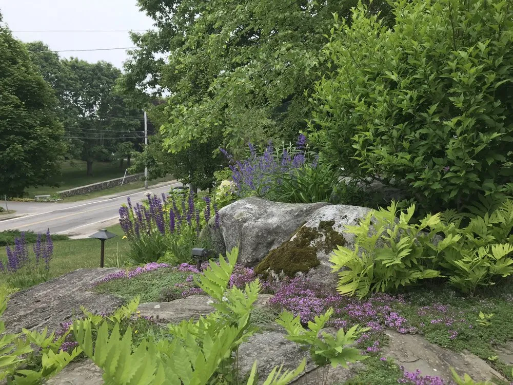 Local outdoor landscaping experts serving Portland, ME - Pollen