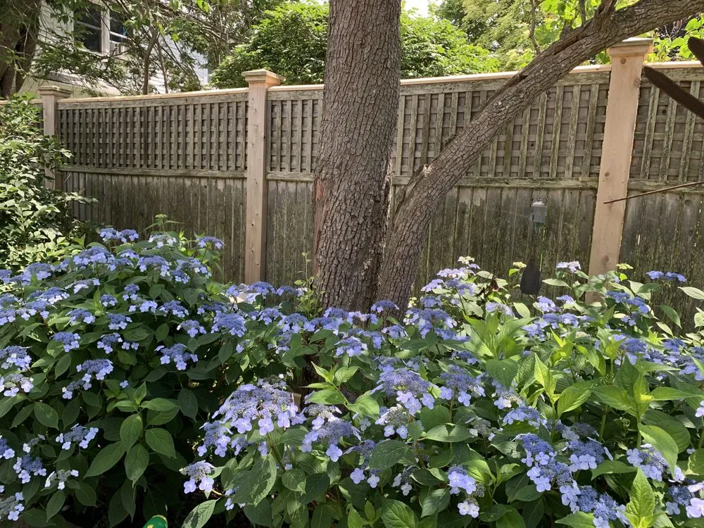 Reliable landscape installation in Portland, ME - Pollen