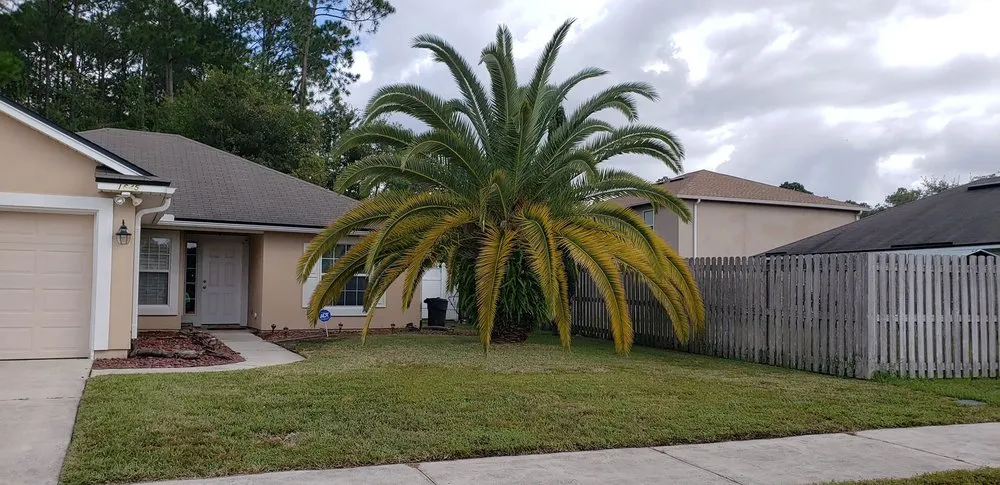 Local lawn mowing service for residential properties across Orange Park, FL - Pollicks Lawncare