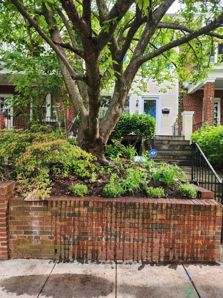 Expert outdoor landscaping in North Springfield, VA - Pollinative