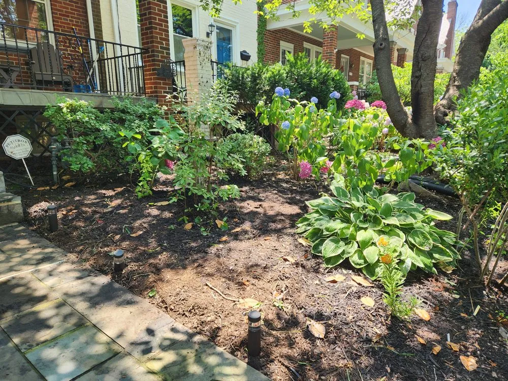 Custom garden landscaping in North Springfield, VA - Pollinative