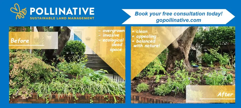 Professional outdoor landscaping experts serving North Springfield, VA - Pollinative