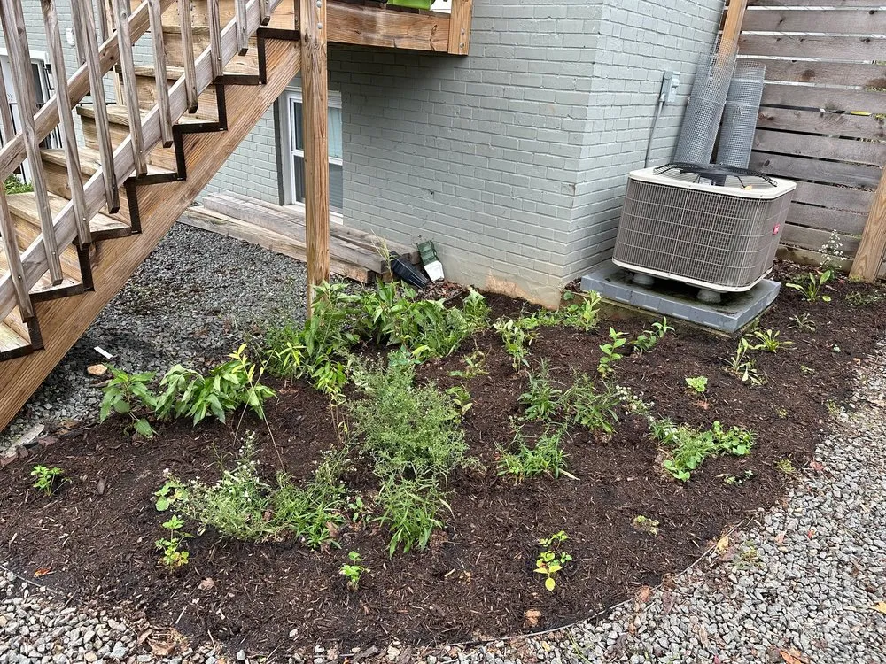 Affordable landscape design in North Springfield, VA - Pollinative