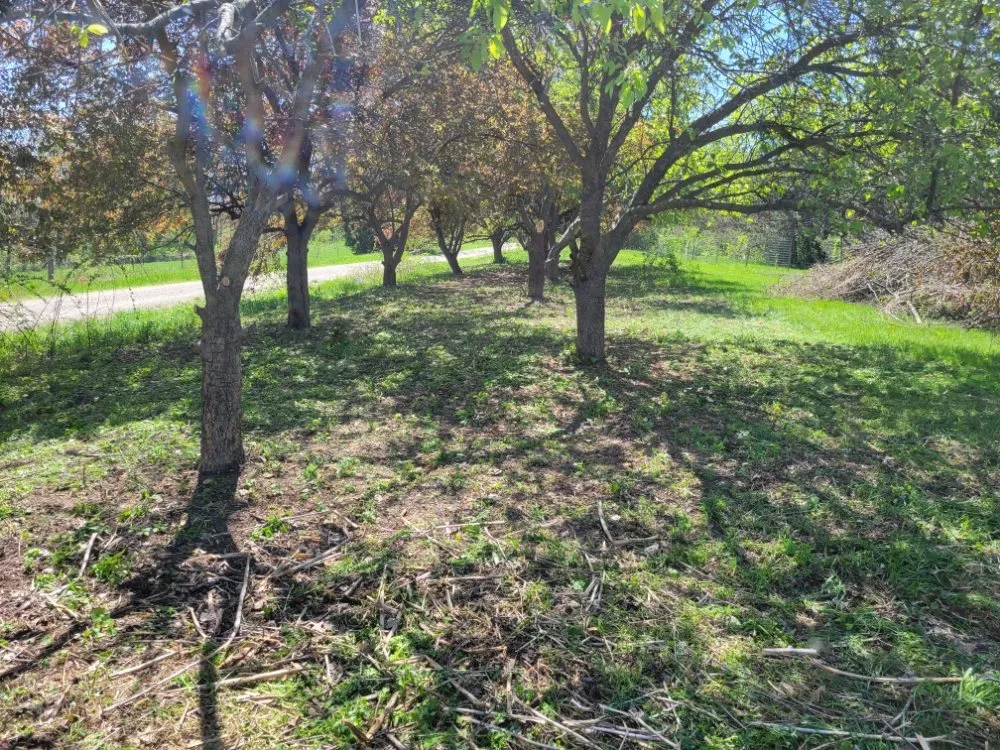 Expert lawn care service for outdoor upgrades in Monroe, WI by Pollock Land Management