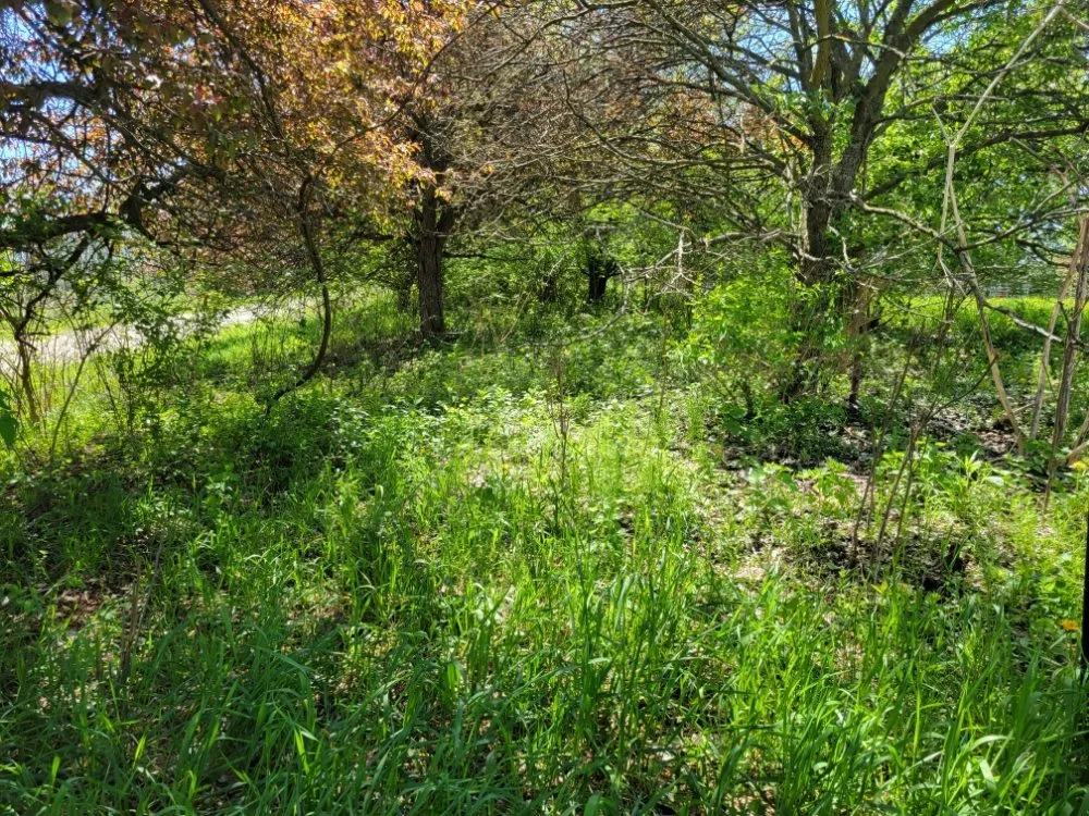 Custom outdoor landscaping for year-round maintenance across Monroe, WI - Pollock Land Management