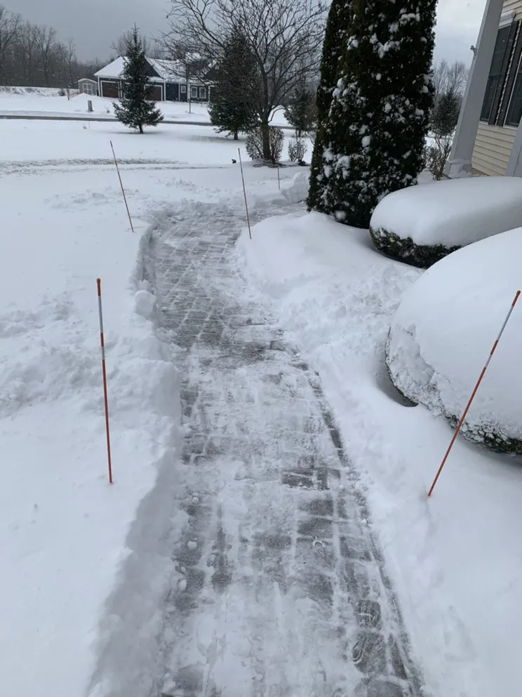 Local yard cleanup service experts serving Lyons, NY - Pollots Lawn Service and Plowing