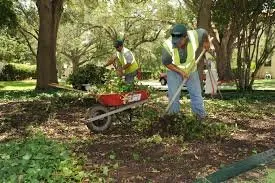 Trusted landscape design near you across Bethany, OK - Polo Landscape