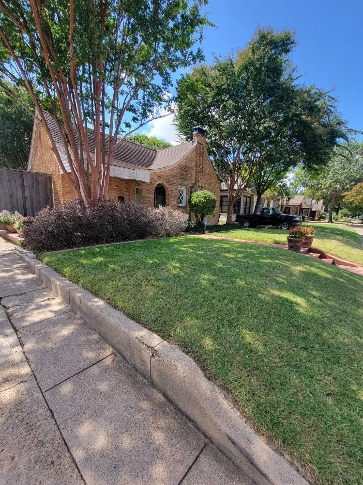 Affordable landscape design in Dallas, TX - Polo Landscapes