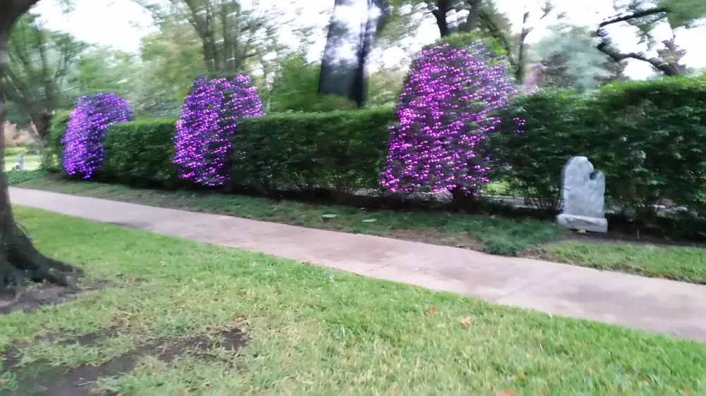 Local landscape design for year-round maintenance in Dallas, TX by Polo Landscapes