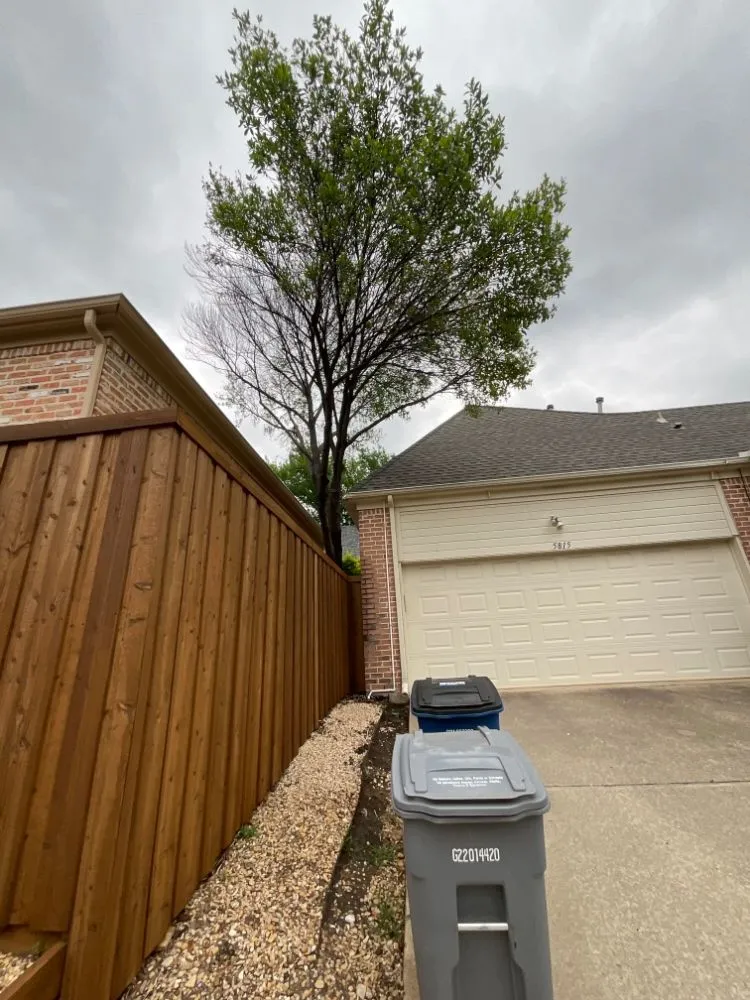 Local lawn care service for beautiful yards in Dallas, TX by Polo Landscapes