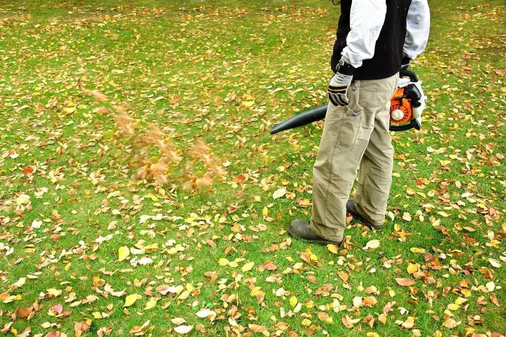 Top-rated yard cleanup service experts serving Dallas, TX - Polo Landscapes