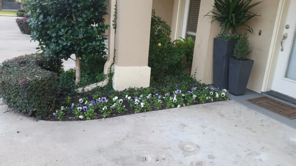 Local yard maintenance for beautiful yards in Dallas, TX by Polo Landscapes