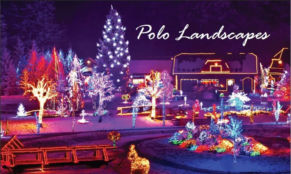 Expert landscape design in Dallas, TX by Polo Landscapes