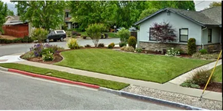 Custom lawn mowing service with custom design in Dallas, TX by Polo Landscapes