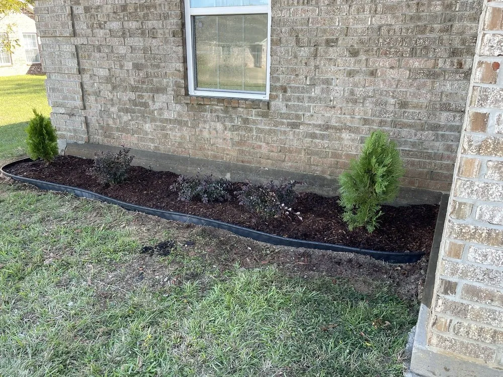 Trusted landscape installation in Tyler, TX by Polo Lawn Service