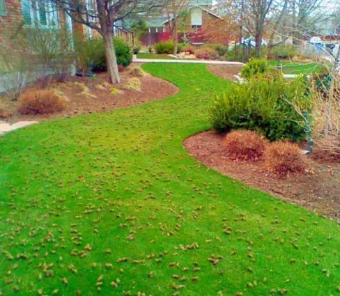 Professional lawn mowing service in Spanish Fork, UT by Polo Park Maintenance Of Gardens