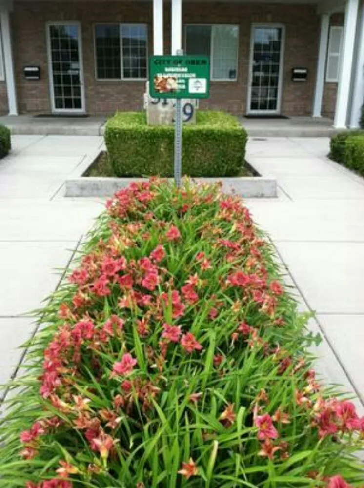 Local yard maintenance experts serving Spanish Fork, UT - Polo Park Maintenance Of Gardens