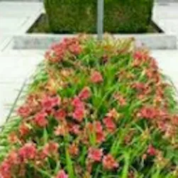 Top-rated lawn mowing service with custom design in Spanish Fork, UT by Polo Park Maintenance Of Gardens