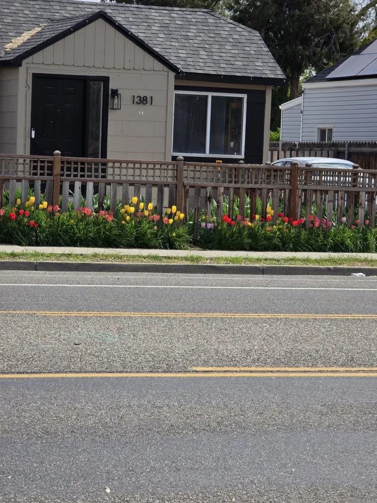 Affordable landscaping services experts serving Salt Lake City, UT - Polo Three PG's Landscaping And More