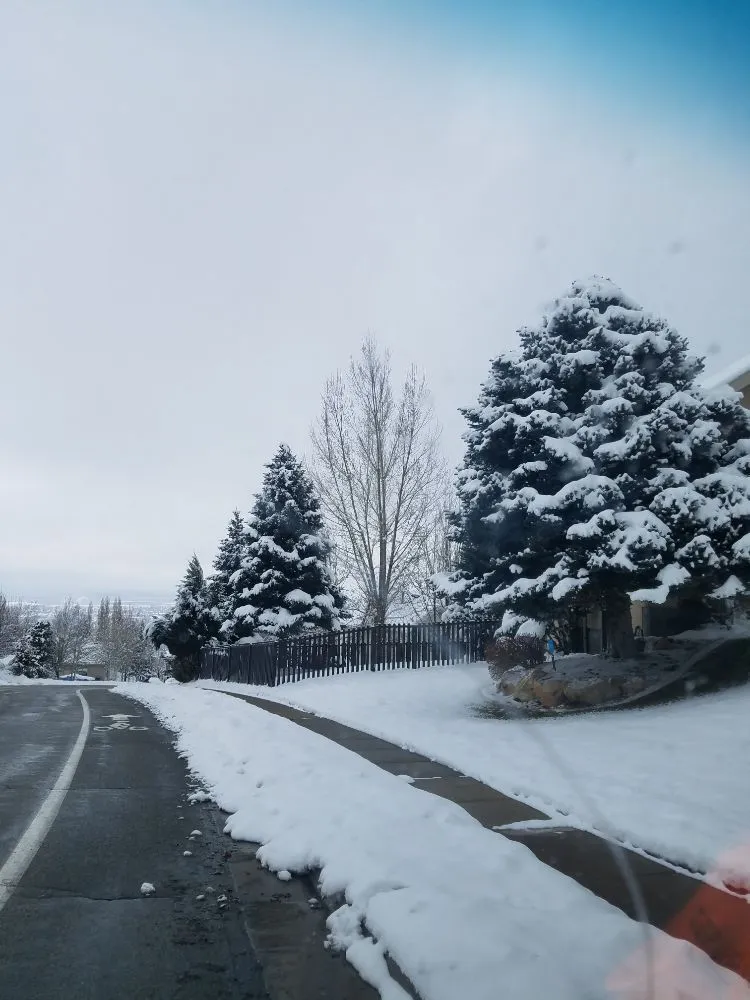 Expert landscaping services in Salt Lake City, UT by Polo Three PG's Landscaping And More