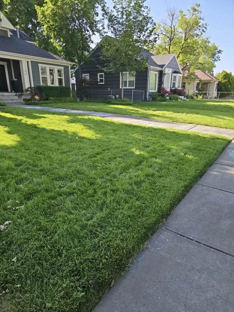 Professional yard maintenance for beautiful yards in Salt Lake City, UT by Polo Three PG's Landscaping And More