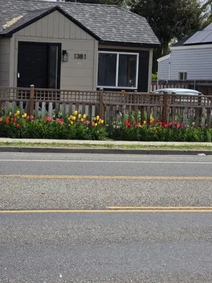 Polo Three PG's Landscaping And More Logo