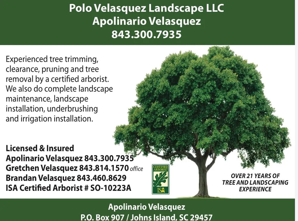 Trusted lawn mowing service for residential properties across Johns Island, SC - Polo Velasquez Landscape