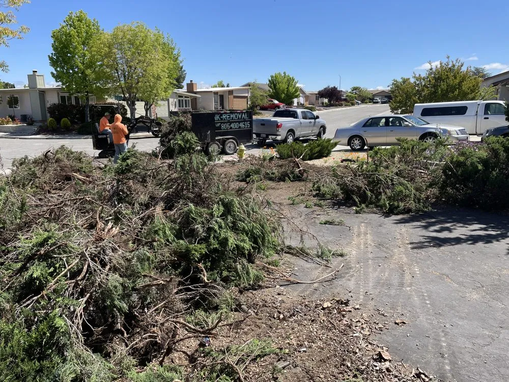 Trusted lawn care service experts serving San Jose, CA - Polo's Landscaping