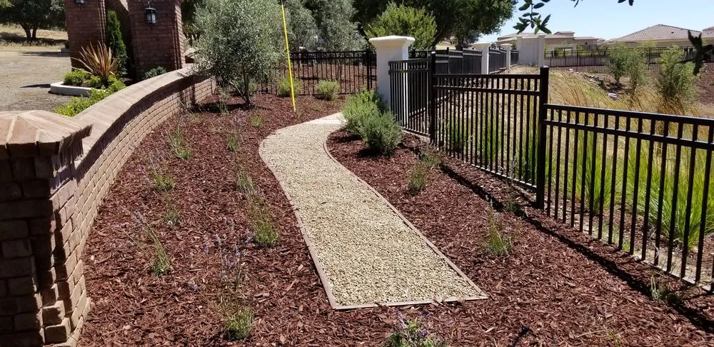 Expert lawn care service experts serving San Jose, CA - Polo's Landscaping