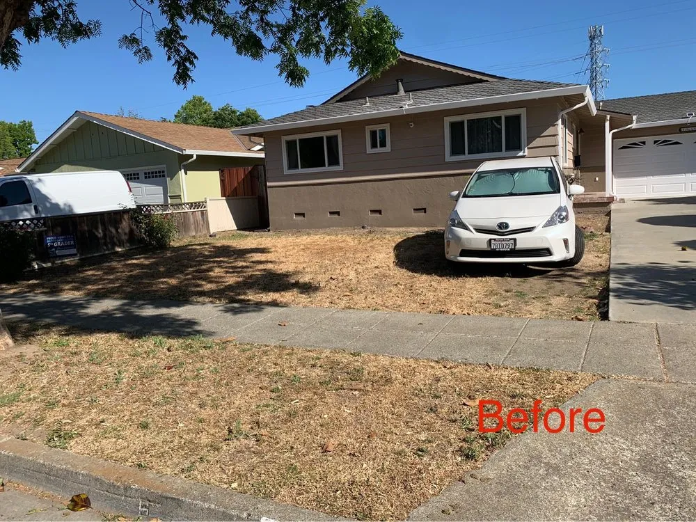 Reliable landscape design in San Jose, CA by Polo's Landscaping