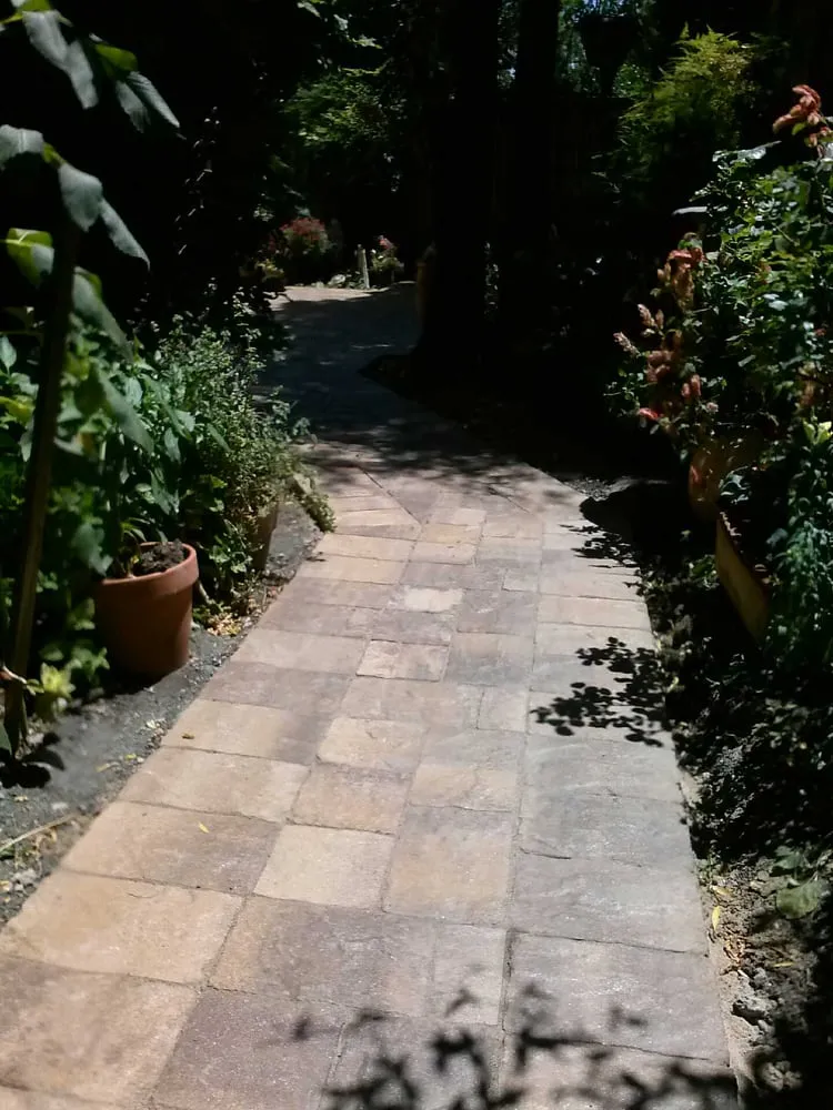 Reliable lawn mowing service near you across San Jose, CA - Polo's Landscaping