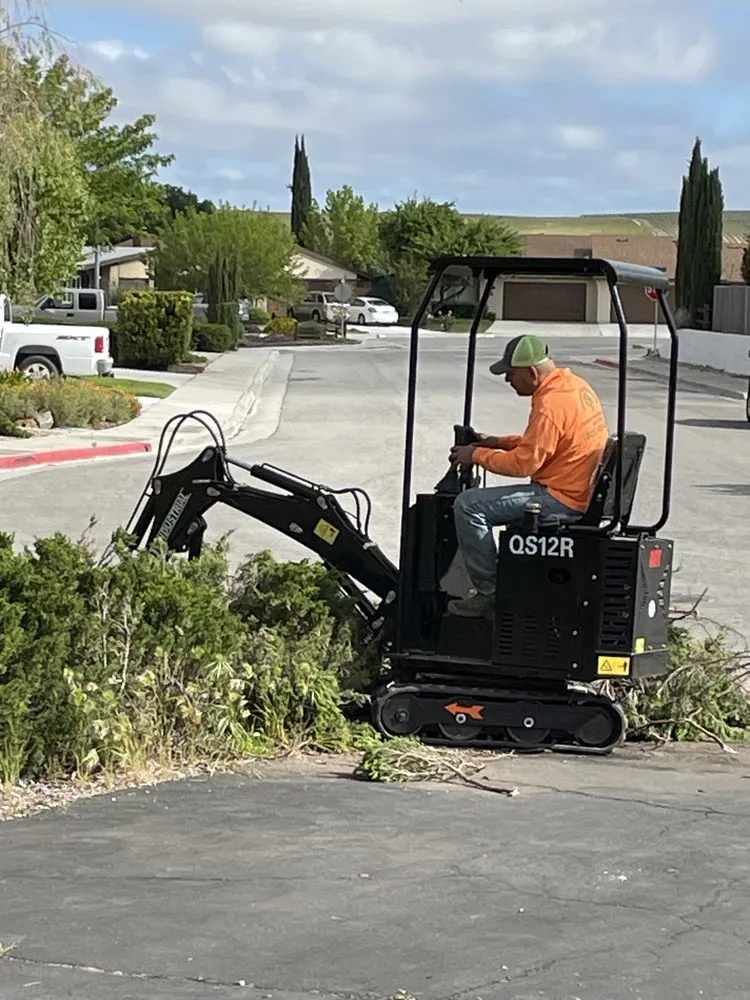 Custom yard cleanup service in San Jose, CA - Polo's Landscaping