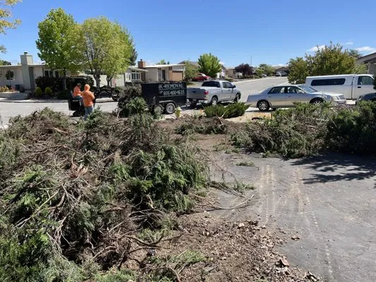 Polo's Landscaping Logo