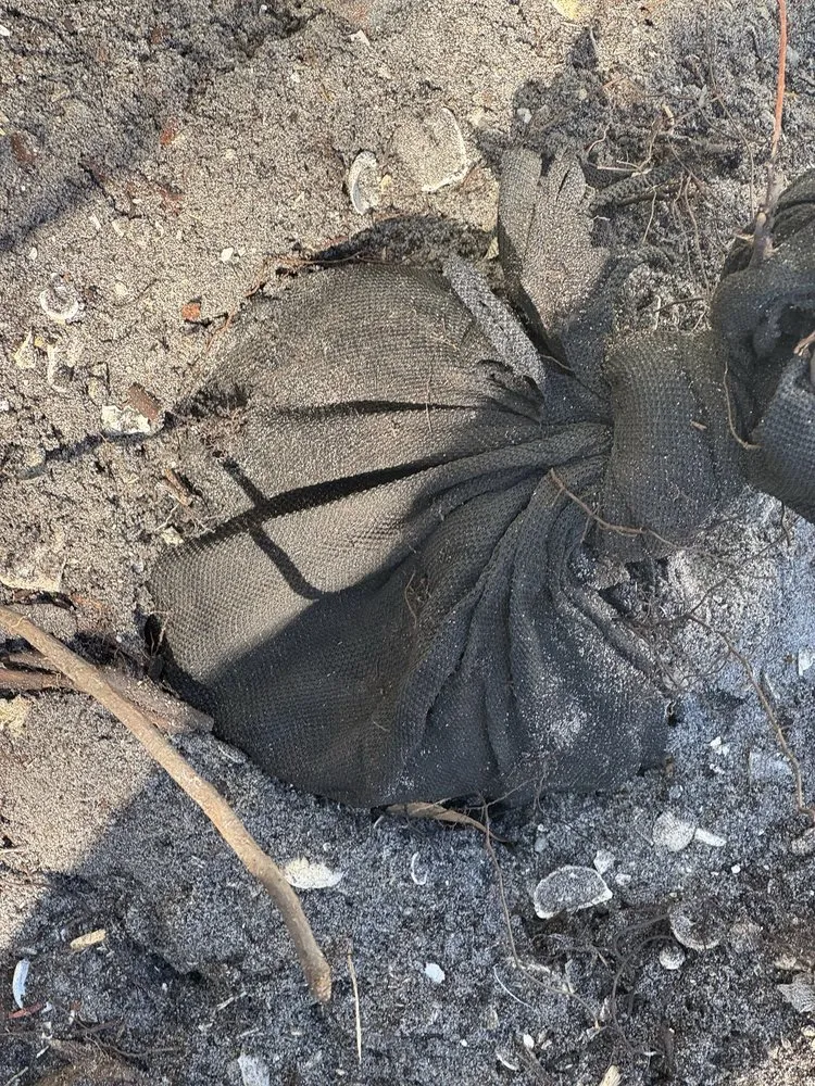 Reliable landscape design experts serving Bradenton, FL - Polson Landscaping Services