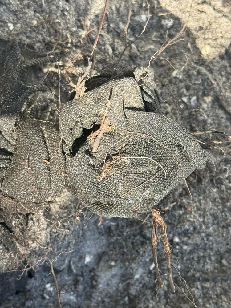 Affordable lawn mowing service experts serving Bradenton, FL - Polson Landscaping Services