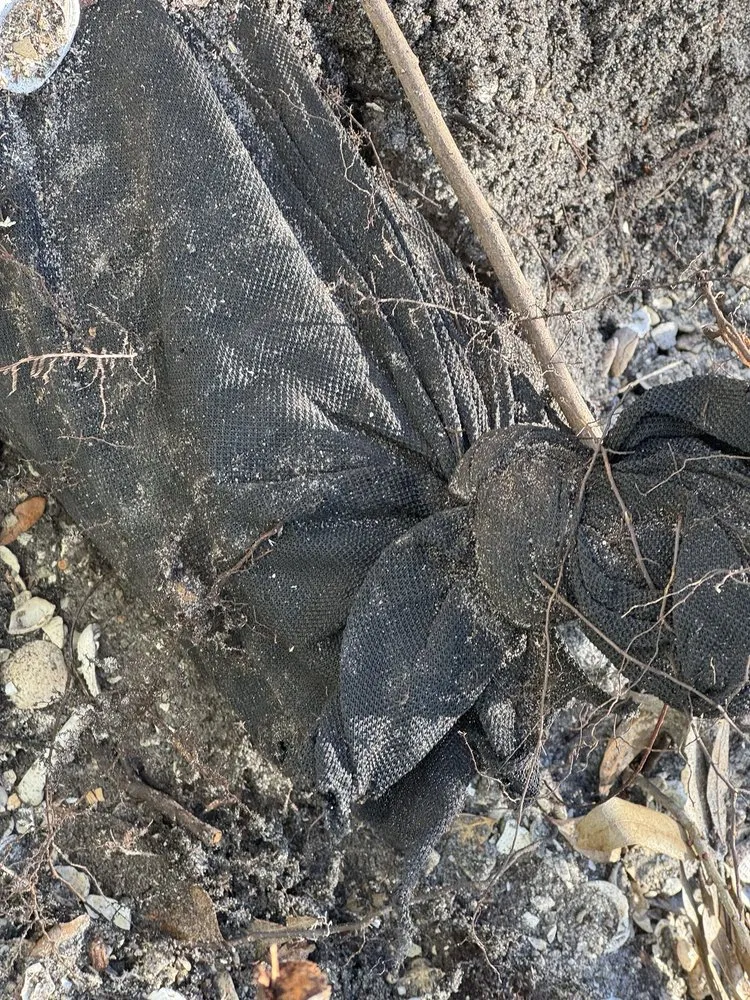 Reliable lawn care service for residential properties in Bradenton, FL by Polson Landscaping Services