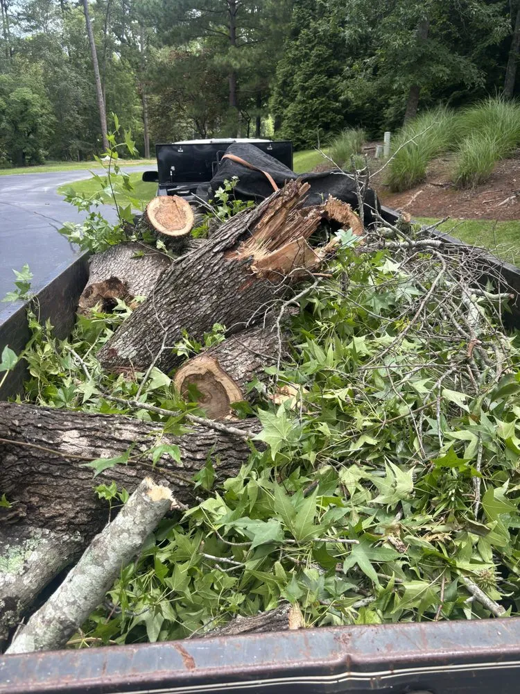 Trusted residential landscaping in Athens, GA - Polvillas Outdoor Services