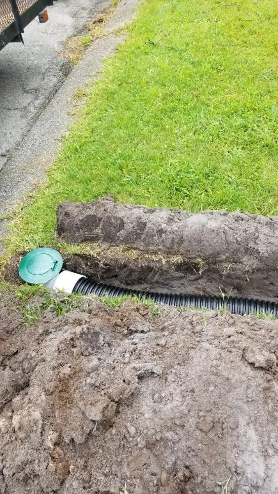 Expert landscaping services experts serving Wilmington, NC - Poly Landscapes