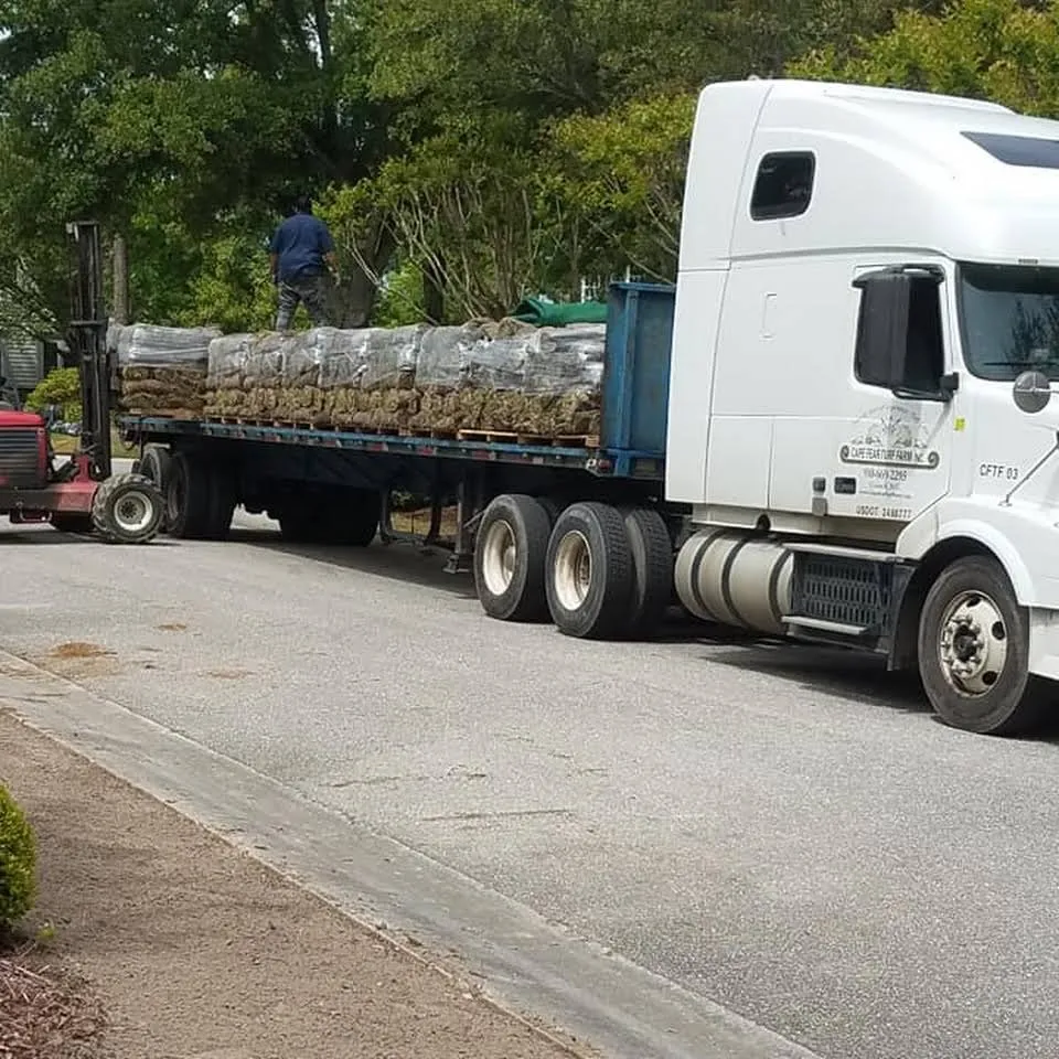 Top-rated lawn mowing service in Wilmington, NC - Poly Landscapes