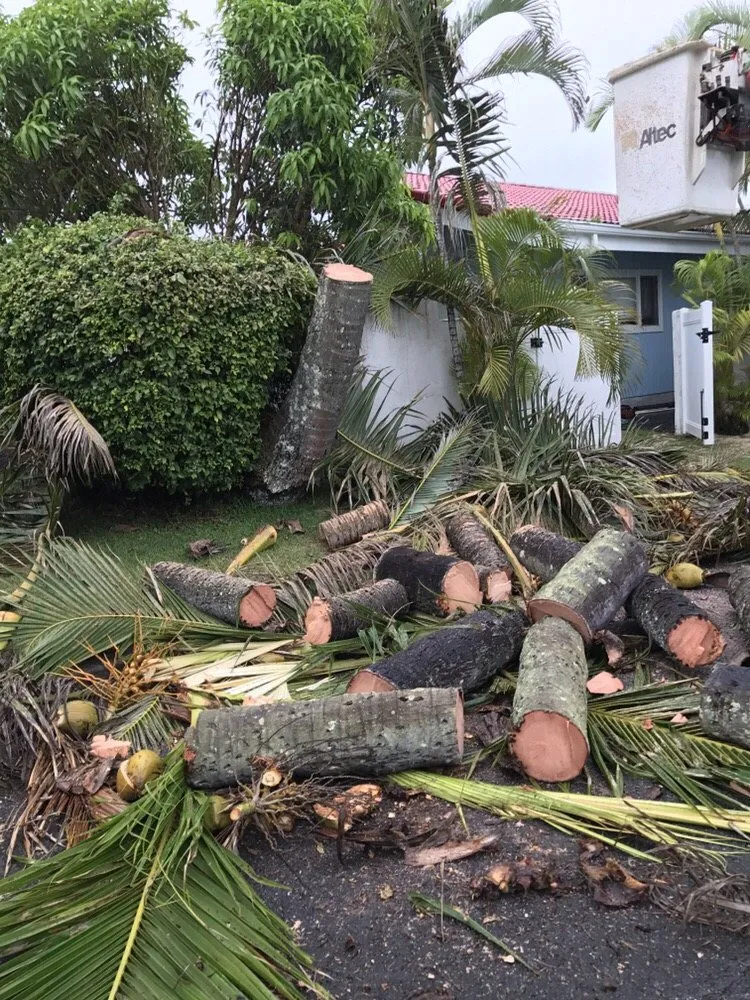 Reliable yard cleanup service for homes across Honolulu, HI - Polyscapes