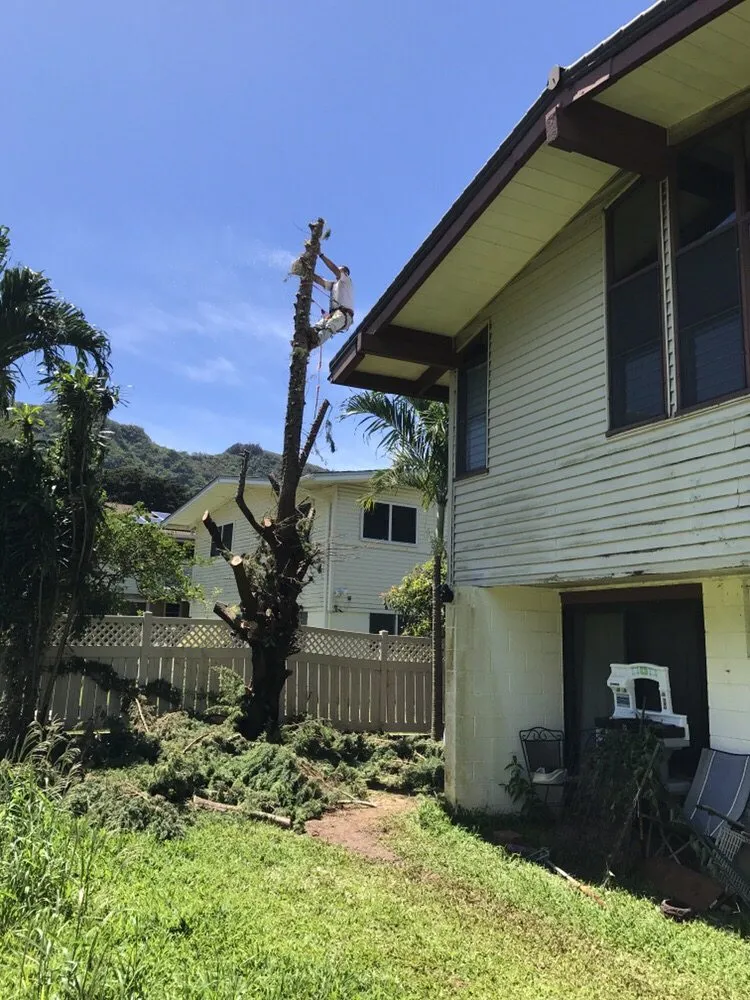Local lawn mowing service in Honolulu, HI - Polyscapes