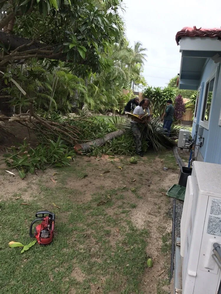 Expert yard cleanup service for outdoor upgrades in Honolulu, HI by Polyscapes