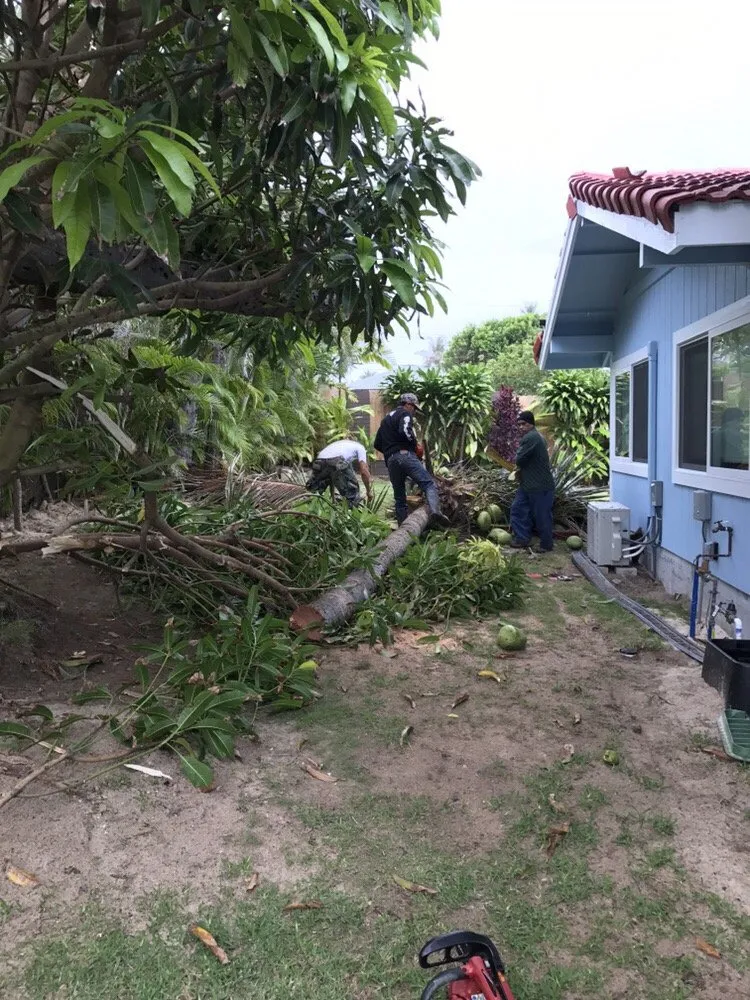 Expert landscape installation in Honolulu, HI by Polyscapes