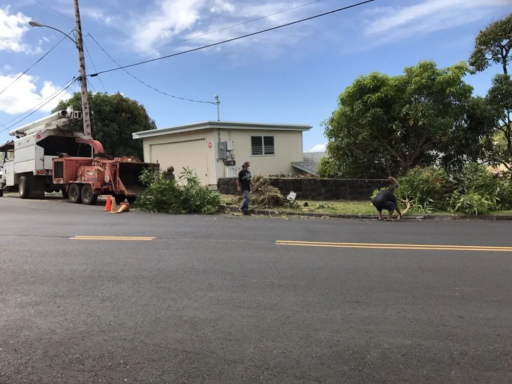 Trusted residential landscaping in Honolulu, HI - Polyscapes