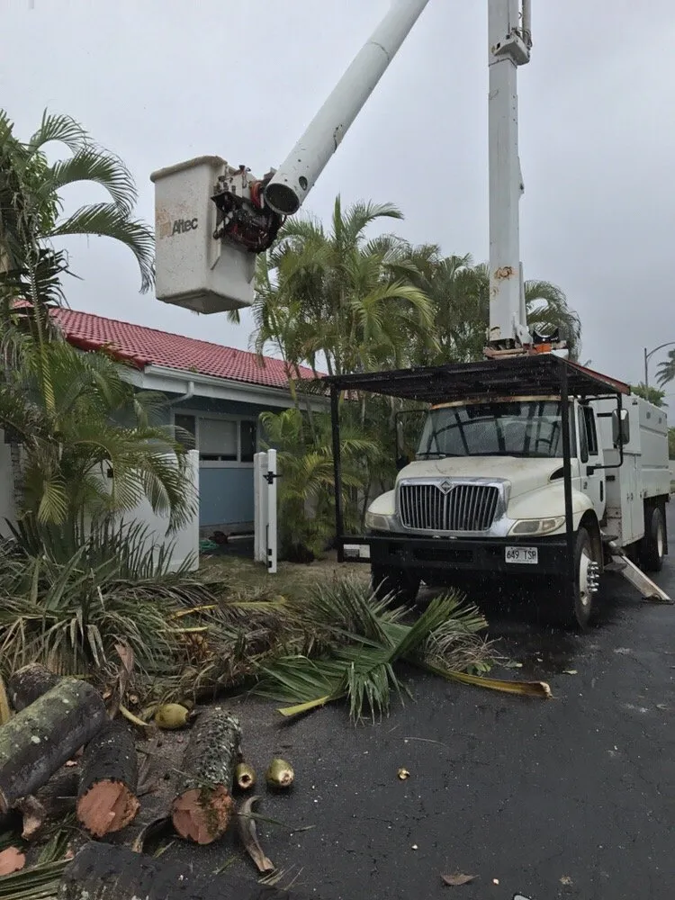 Top-rated lawn care service for beautiful yards across Honolulu, HI - Polyscapes