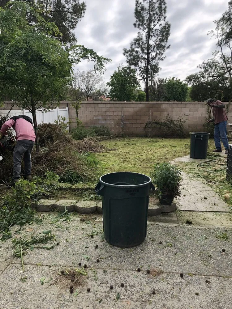 Custom yard cleanup service for outdoor upgrades in Bakersfield, CA by Poma Landscaping