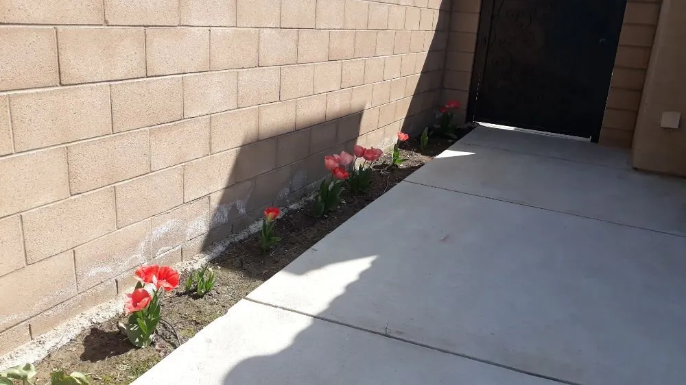 Reliable landscaping services with custom design across Bakersfield, CA - Poma Landscaping